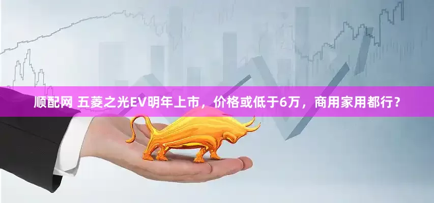 顺配网 五菱之光EV明年上市，价格或低于6万，商用家用都行？